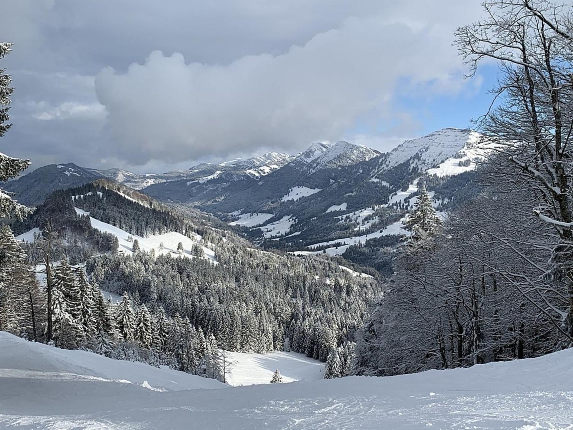 Appartement Nr 19, Alpenappartementhaus, Oberstaufen-Steibis, Allgaeu, Oberstaufen Plus Esterno foto