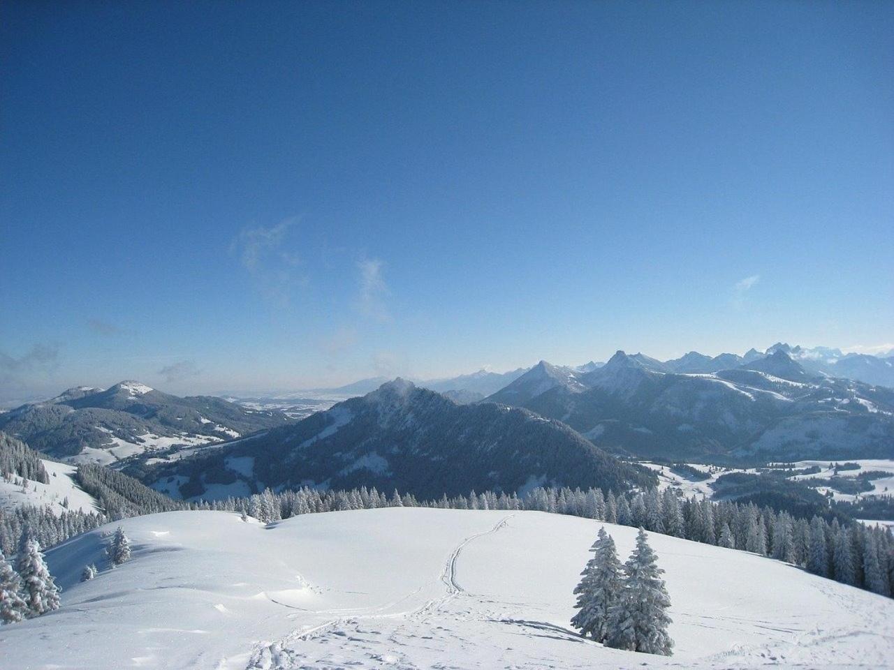 Appartement Nr 19, Alpenappartementhaus, Oberstaufen-Steibis, Allgaeu, Oberstaufen Plus Esterno foto